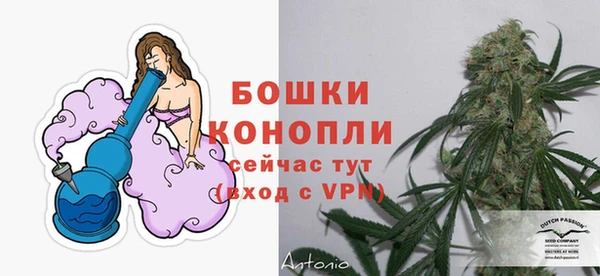 СК Абаза