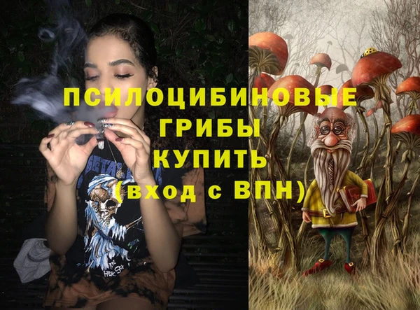 индика Лиски
