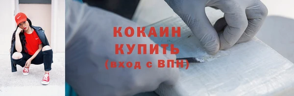 индика Лиски