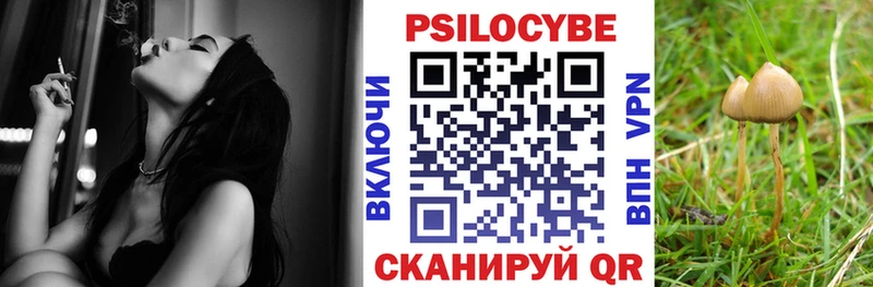 Галлюциногенные грибы GOLDEN TEACHER Воронеж